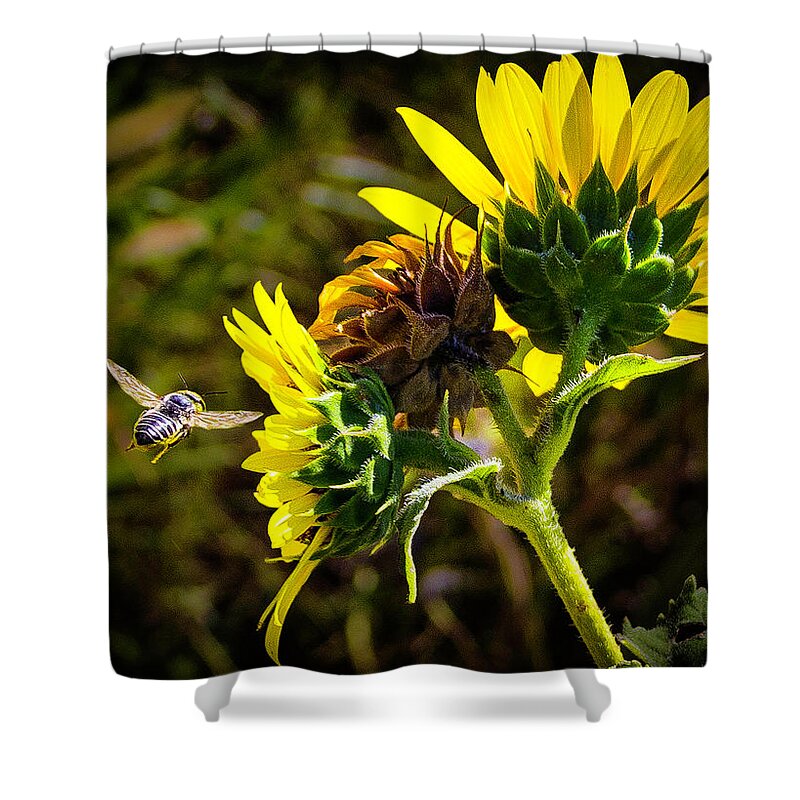 Bee Shower Curtain featuring the photograph In The Pipe 5x5 by Michael Gross