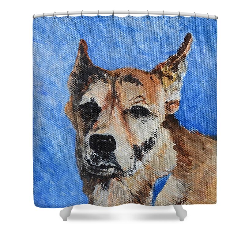 Dog Shower Curtain featuring the painting In The Shadows by Betty-Anne McDonald