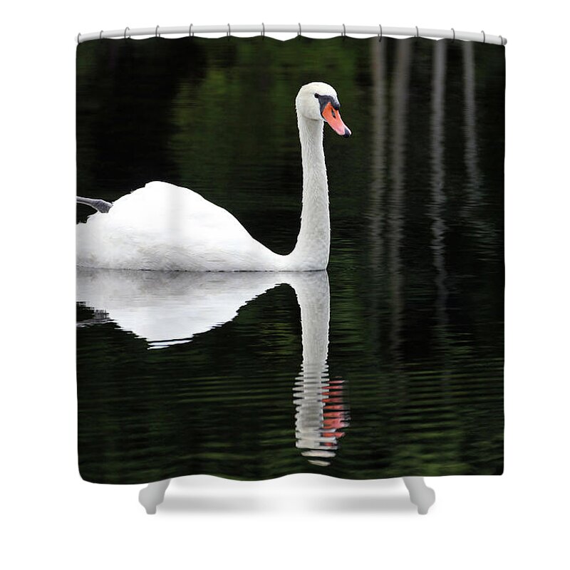 Petoskey Shower Curtain featuring the photograph In the Shadows of the Lake by Robert Carter
