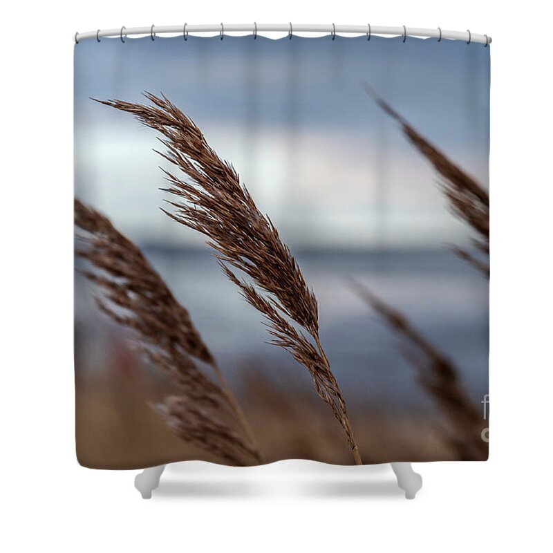 Breeze Shower Curtain featuring the photograph In the soft Breeze. by Daniel M Walsh