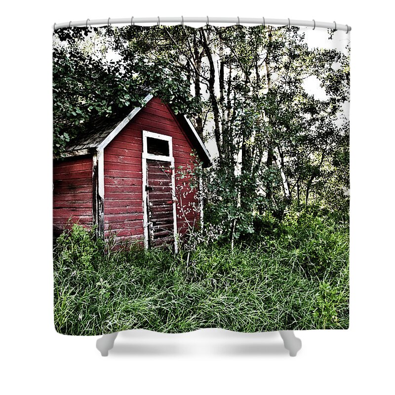 Barn Shower Curtain featuring the photograph In The Woods by Carmen Kern