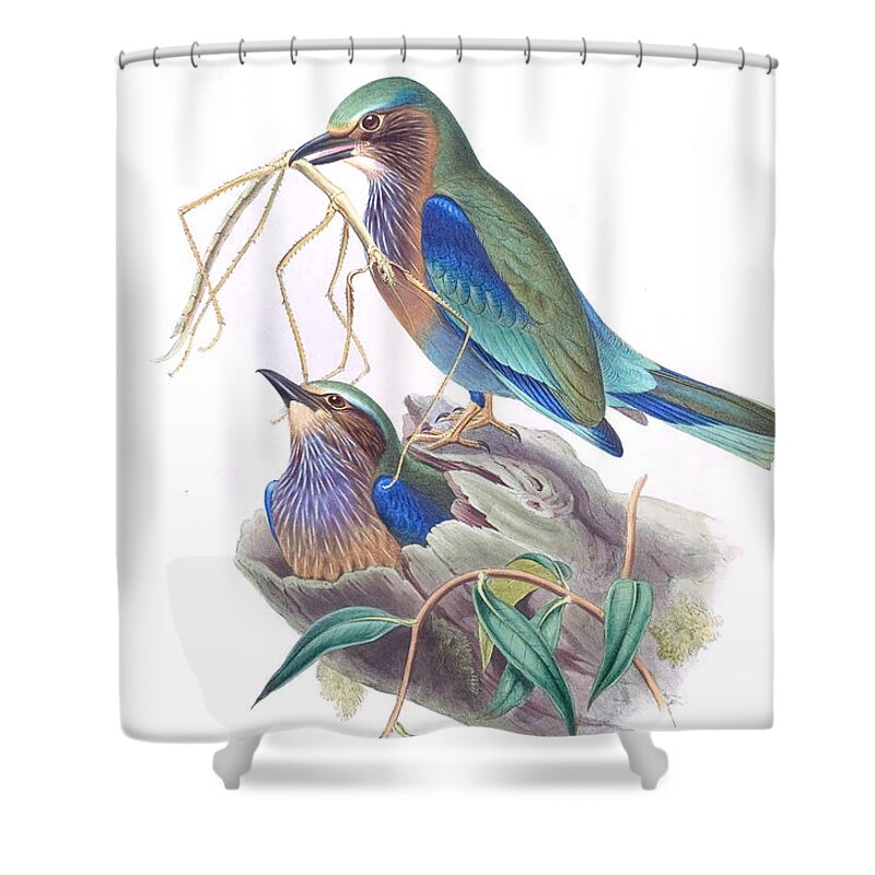 Birds Shower Curtain featuring the mixed media Indochinese Roller Bird by World Art Collective