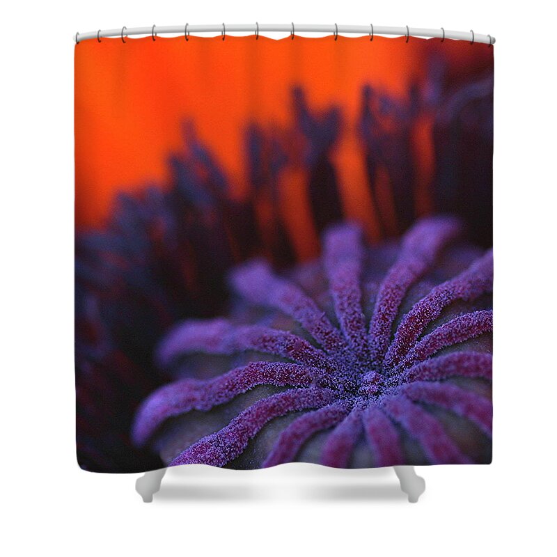 Macro Shower Curtain featuring the photograph Inside Poppy 0607 by Julie Powell