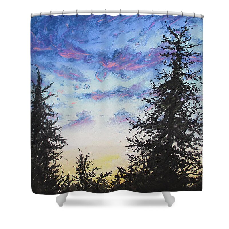 Sunset Shower Curtain featuring the painting Insight by Jen Shearer