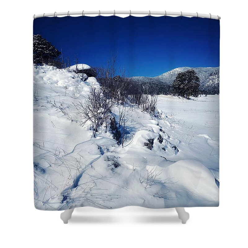 Dan Miller Shower Curtain featuring the photograph Into the Blue by Dan Miller