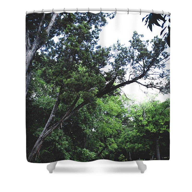 Juniperus Ashei Shower Curtain featuring the photograph Into the Juniper Forest by W Craig Photography