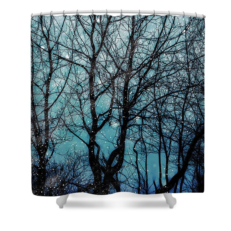 Branches Shower Curtain featuring the digital art Into the Winter Night by Michele Cornelius