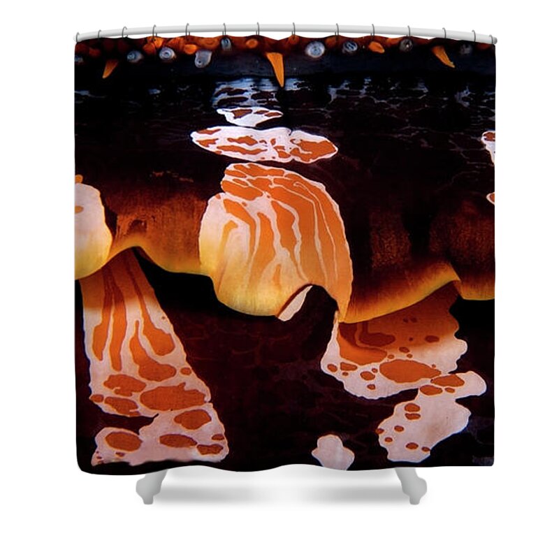 Oyster Shower Curtain featuring the photograph Intricate invertebrate by Artesub