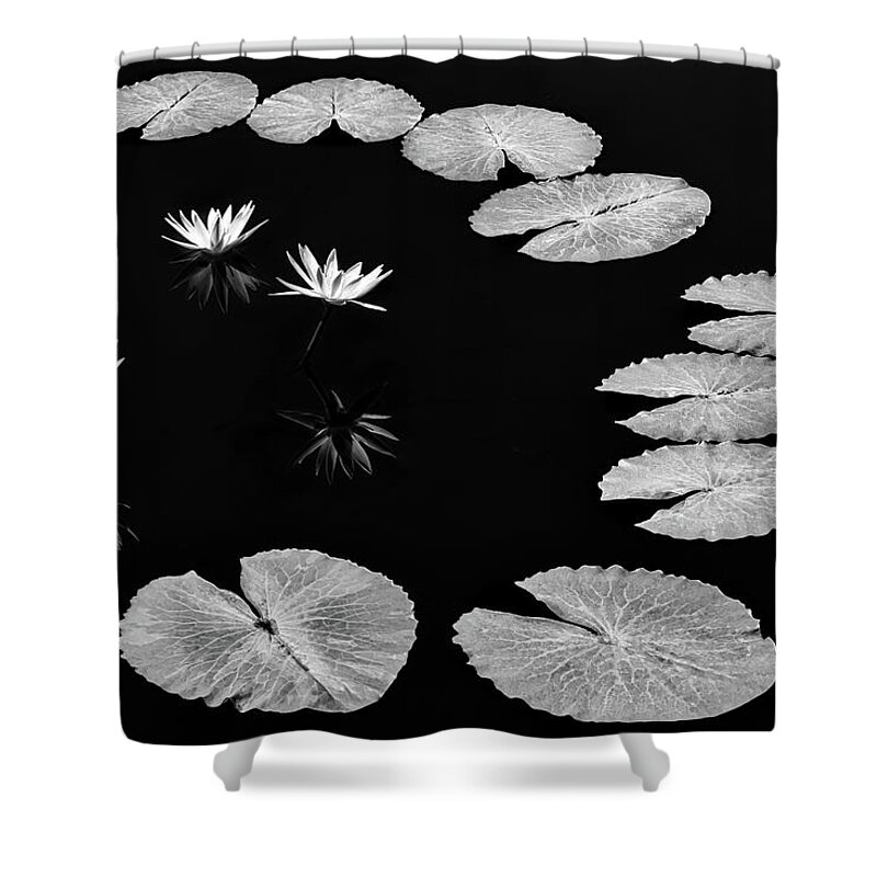 Water Lilies Shower Curtain featuring the photograph Invisible Connection by Elvira Peretsman