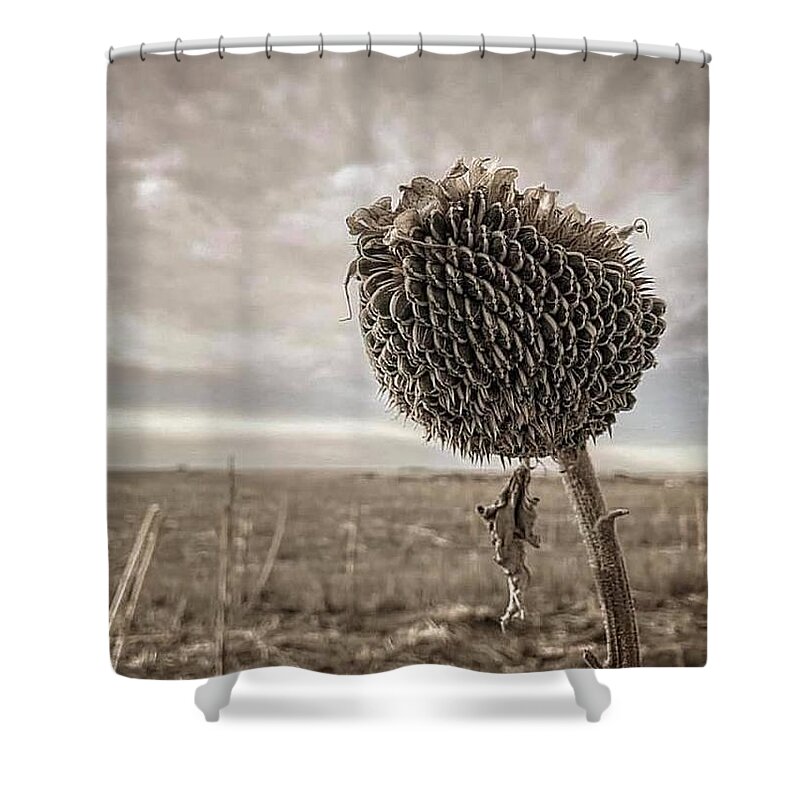 Iphonography Shower Curtain featuring the photograph iPhonography Sunflower 1 by Julie Powell