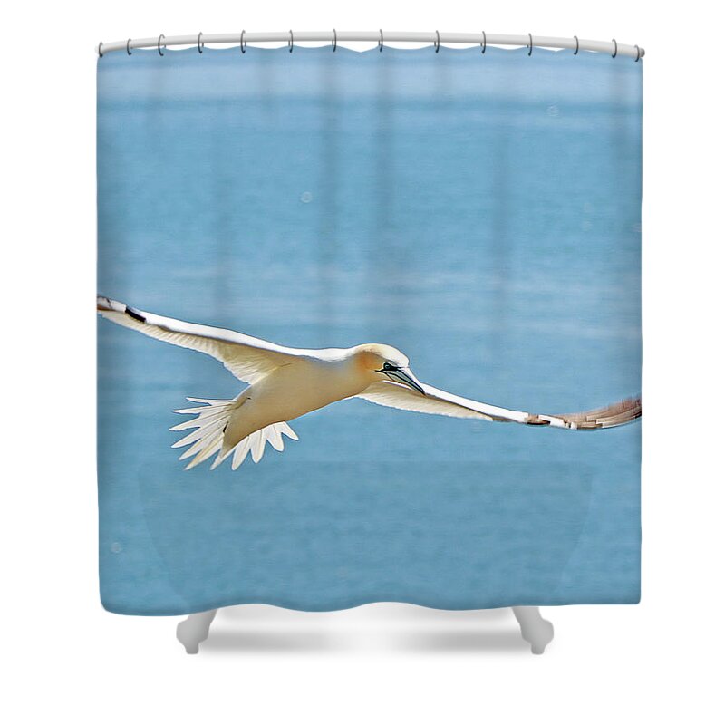  Shower Curtain featuring the photograph Ireland 28 by Eric Pengelly