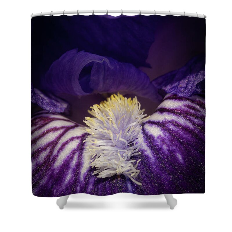 Cibola National Forest Shower Curtain featuring the photograph Iris Delight by Maresa Pryor-Luzier