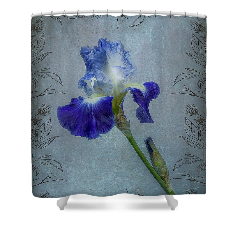 Floral Shower Curtain featuring the photograph Iris with texture by Roni Chastain
