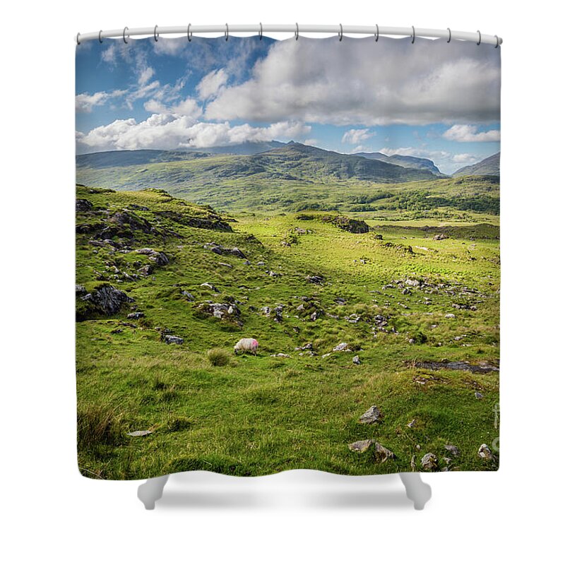 Ring Of Kerry Shower Curtains
