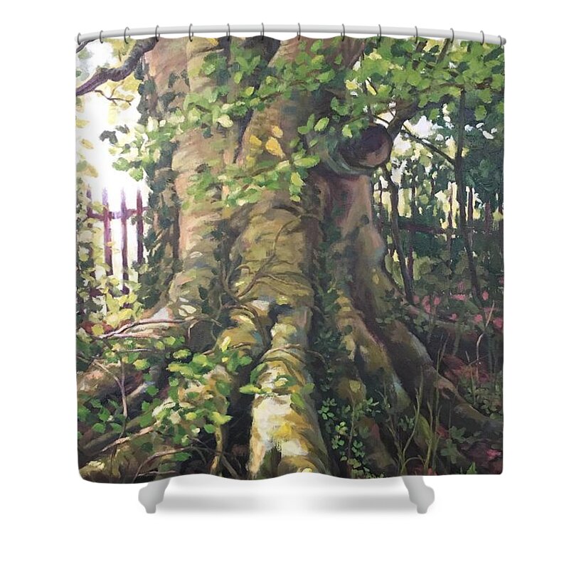 Tree Shower Curtain featuring the painting Irish Tree by Don Morgan