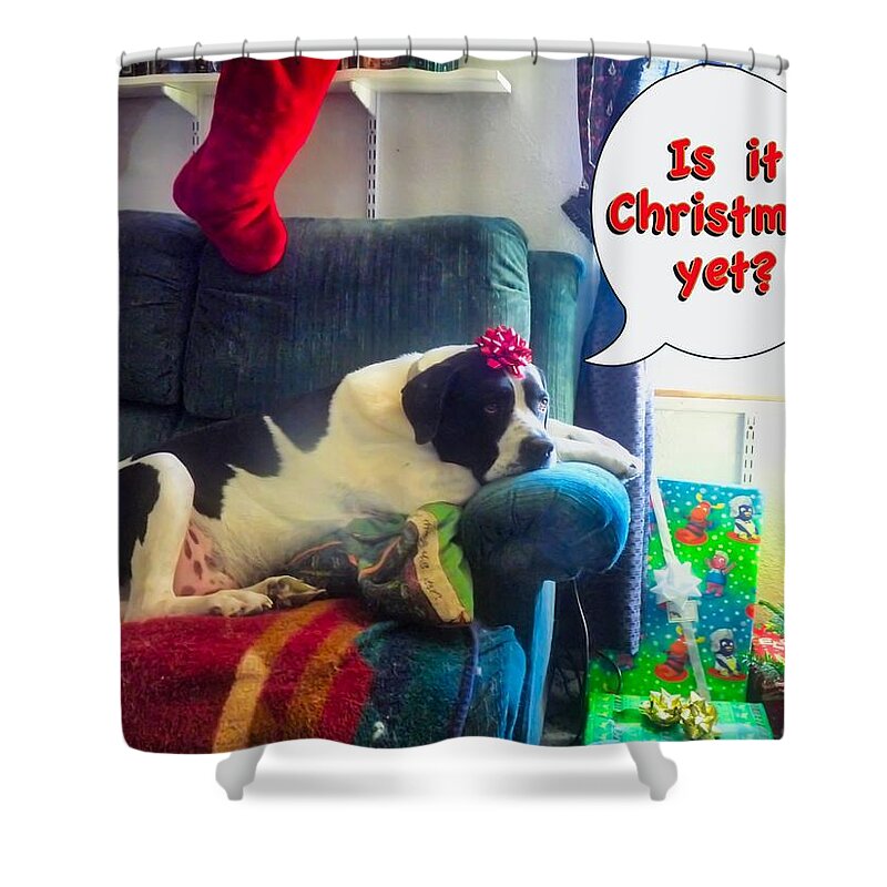 Adage Shower Curtain featuring the photograph Is it Christmas yet? by Judy Kennedy
