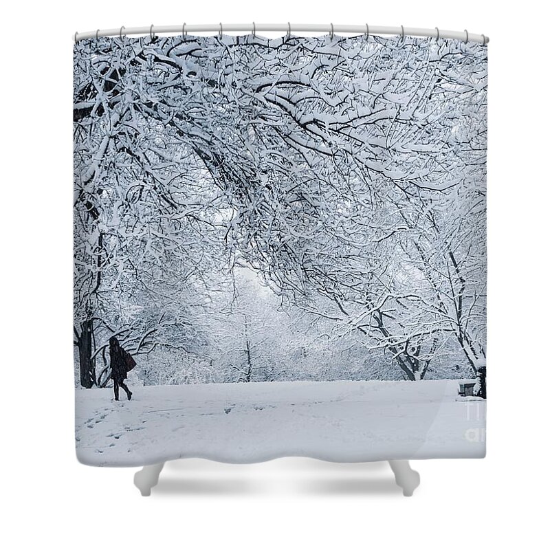 Isham Shower Curtain featuring the photograph Isham Park, Snow by Cole Thompson