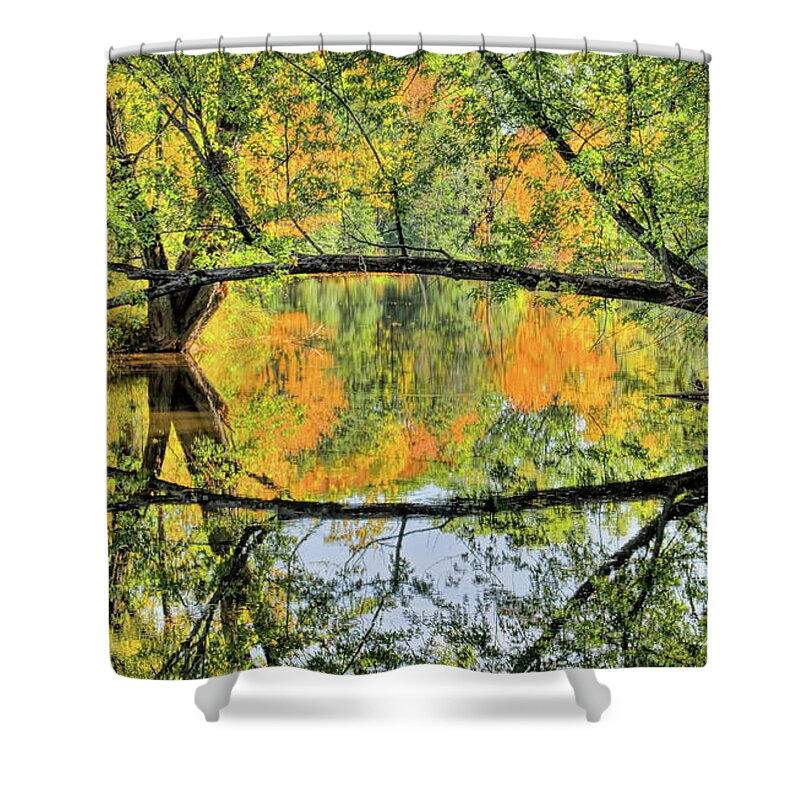 Wausau Shower Curtain featuring the photograph Isle Of Ferns Park Tree Arch by Dale Kauzlaric
