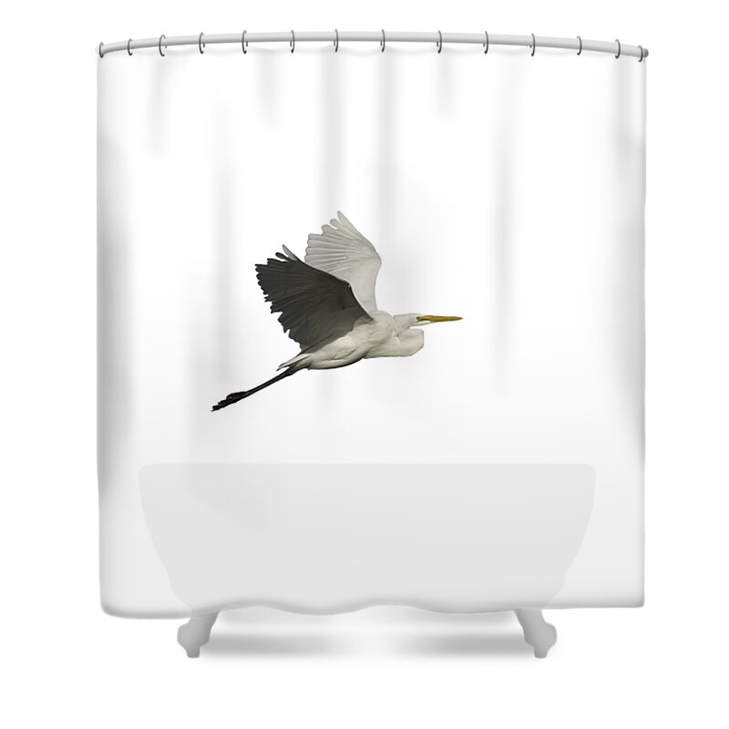 Great Egret Shower Curtain featuring the photograph Isolated Great Egret 2016 by Thomas Young