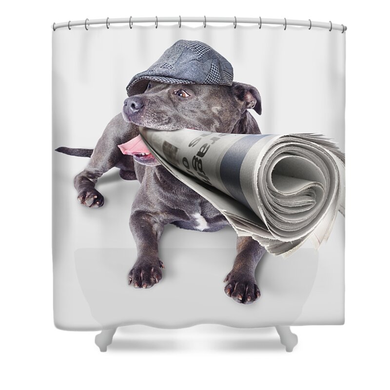 News Shower Curtain featuring the photograph Isolated newspaper dog carrying latest news by Jorgo Photography