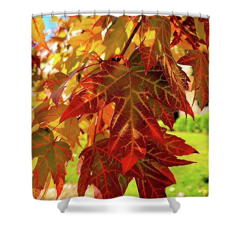 Leaves Shower Curtain featuring the photograph It Is Time by Roberta Byram