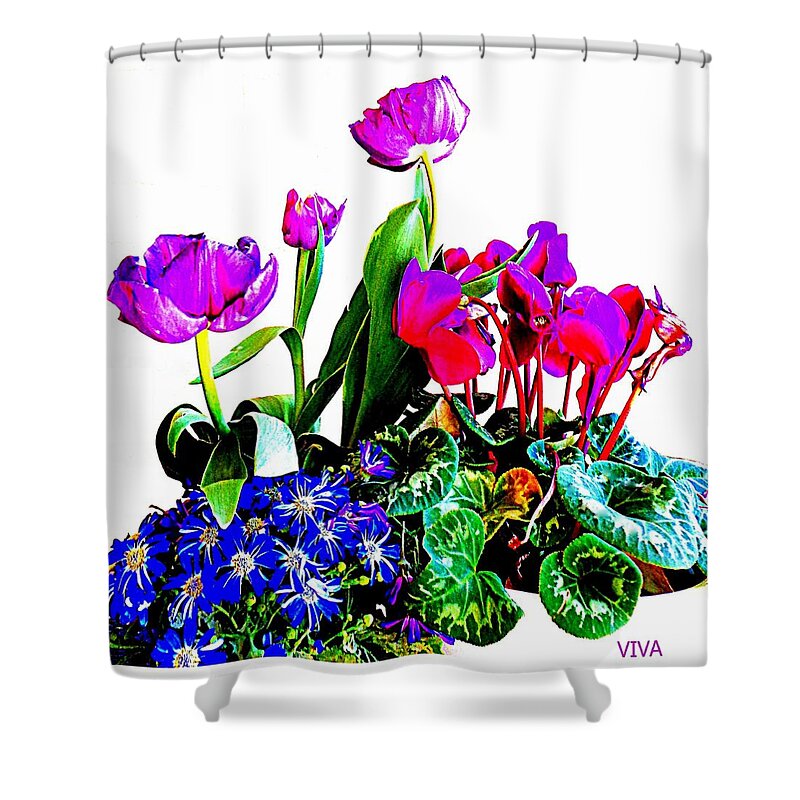 Tulips Shower Curtain featuring the photograph It's Tulip Time by VIVA Anderson