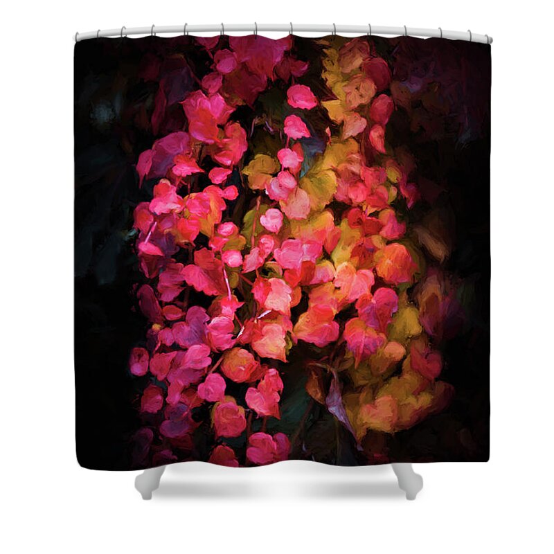 Ivy Shower Curtain featuring the photograph Ivy of Autumn by Philippe Sainte-Laudy