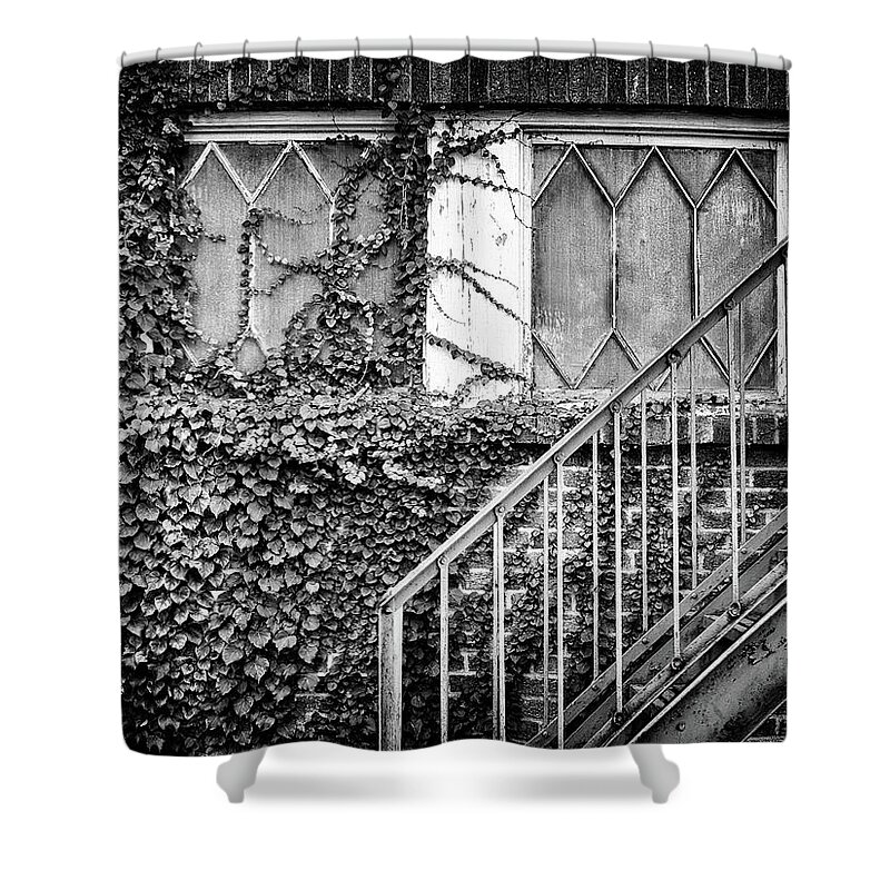  Shower Curtain featuring the photograph Ivy, Window And Stairs by Steve Stanger