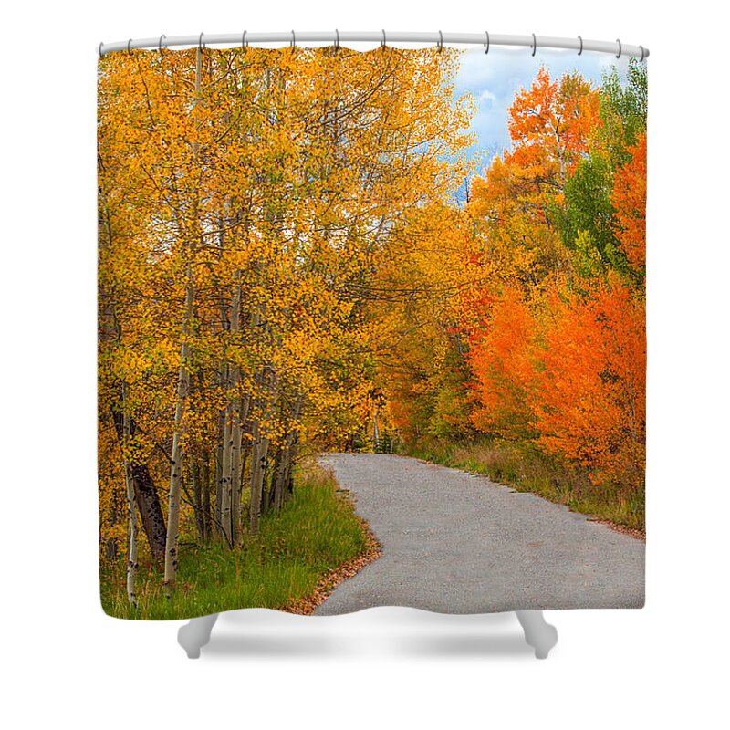 Breck Shower Curtain featuring the photograph Jackie's Place, Breckenridge by Robin Valentine