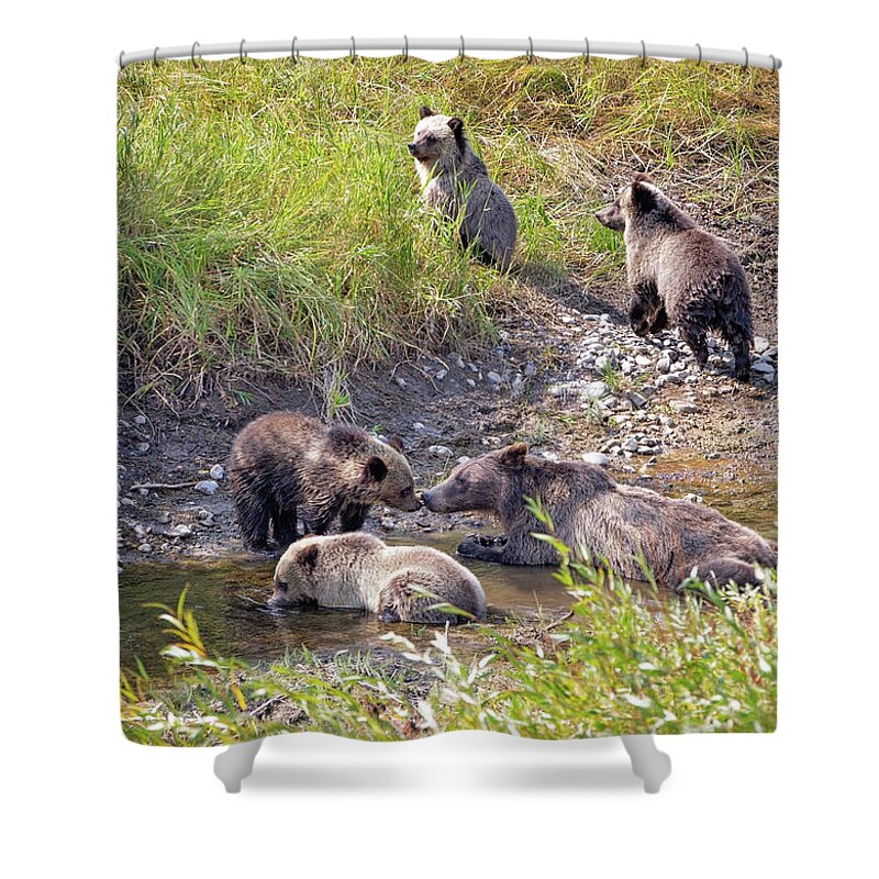 Grizzly Shower Curtain featuring the photograph Jackson Five by Eilish Palmer