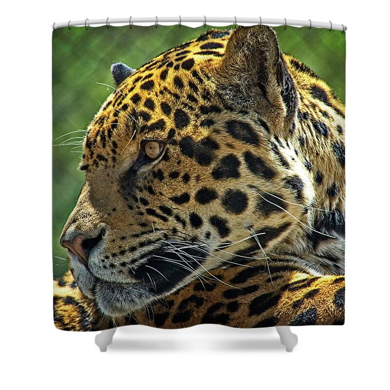 Mammal Shower Curtain featuring the photograph Jaguar Profile by David Desautel