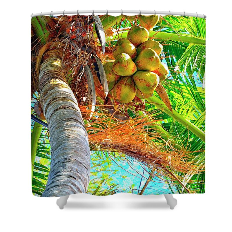 Coconut Shower Curtain featuring the photograph Jammin by Alison Belsan Horton