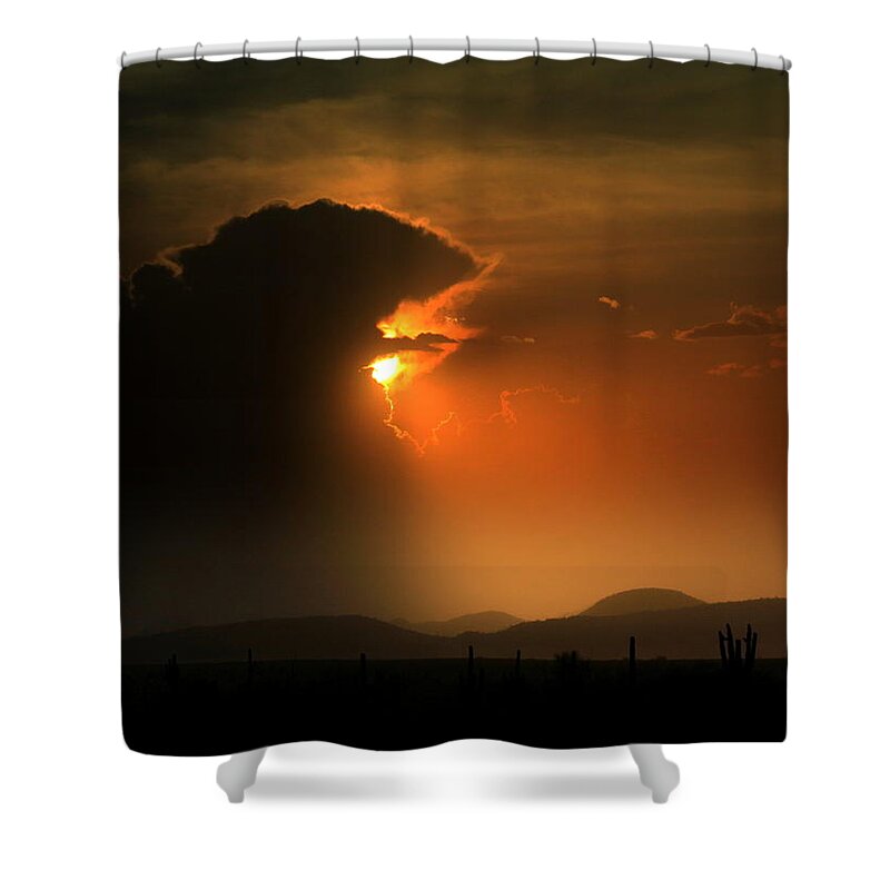 Westwing Shower Curtain featuring the photograph Janet's Haboob by Gene Taylor
