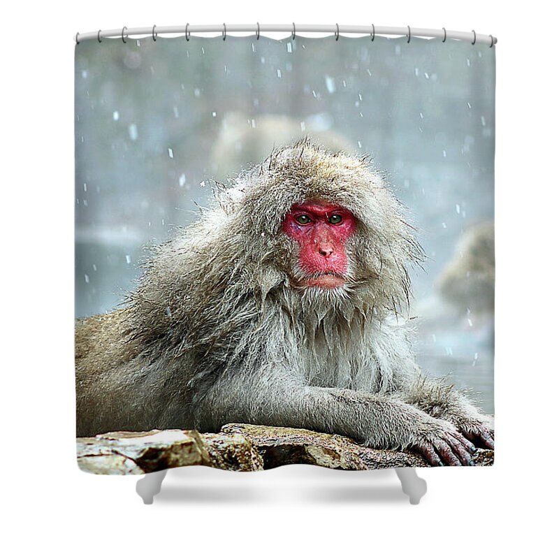  Shower Curtain featuring the photograph Japan 48 by Eric Pengelly
