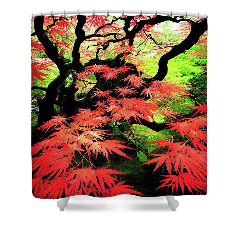 Japanese Maple Shower Curtain featuring the digital art Japanese Maple 01 Red and Green by Matthias Hauser