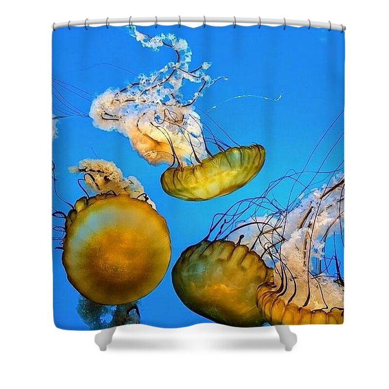 Jellyfish Shower Curtain featuring the pyrography Jellies 2 by Elena Pratt