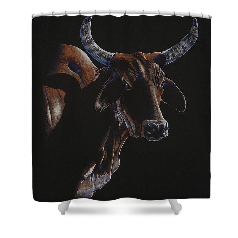 Brahma Shower Curtain featuring the drawing Jeremiah by Jill Westbrook