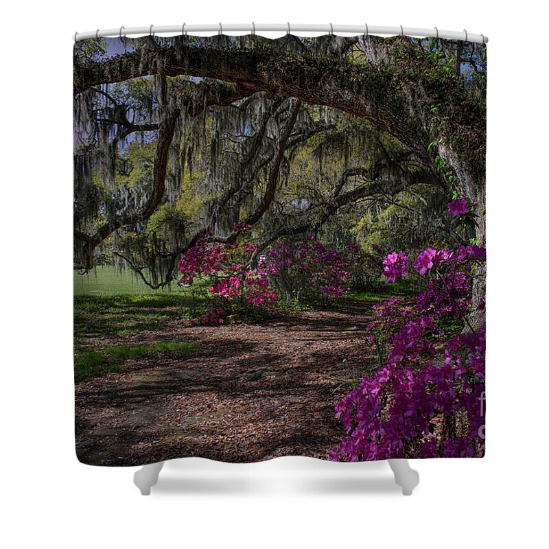 Magnolia Plantation Shower Curtain featuring the photograph Jewel of the South - Magnolia Plantation by Dale Powell
