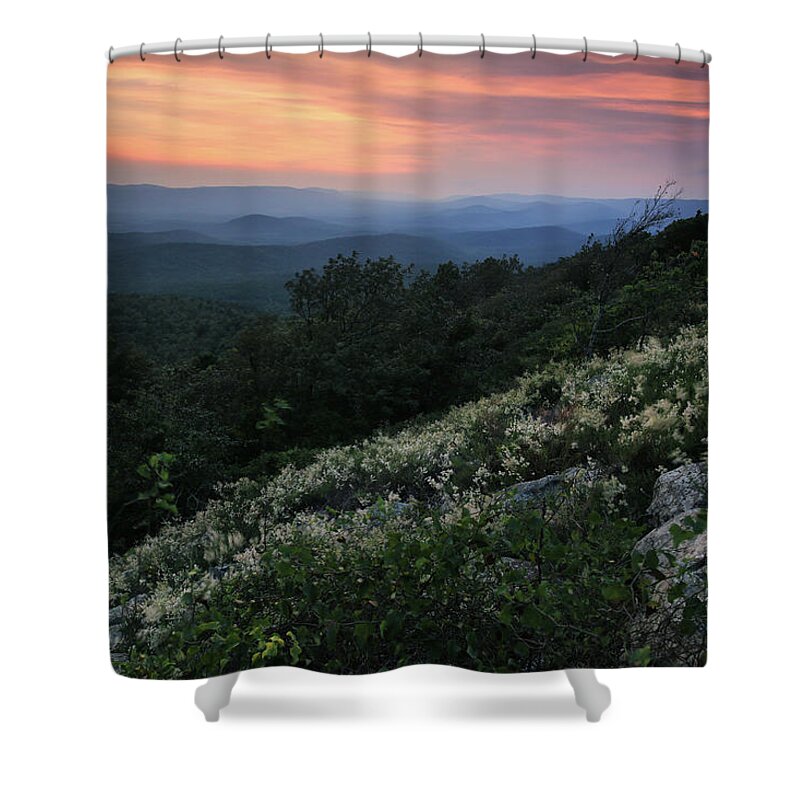 Flowers Shower Curtain featuring the photograph Jointweed Flowers at Sunset - Queen Wilhelmina State Park by William Rainey