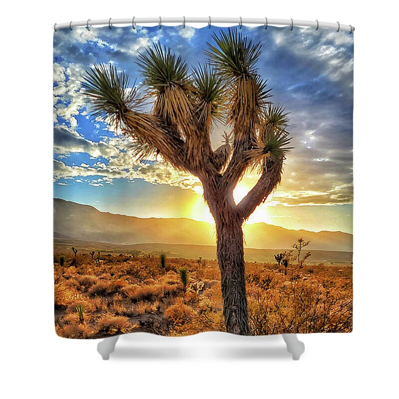 Sunset Shower Curtain featuring the photograph Joshua Tree Sun Blast by Chris Casas