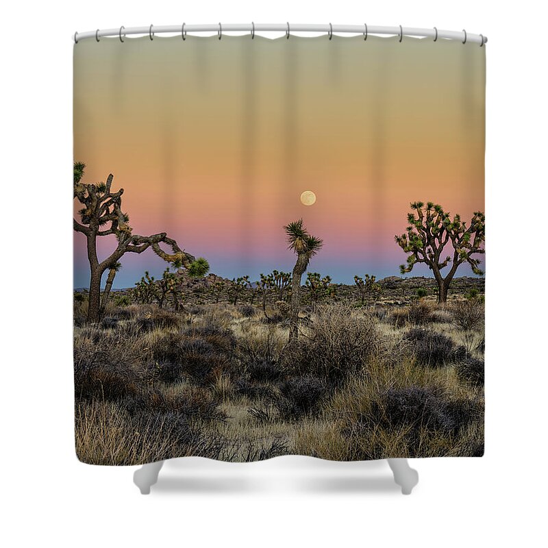 Joshua Tree Shower Curtain featuring the photograph Joshua Trees and Earths Shadow by George Buxbaum