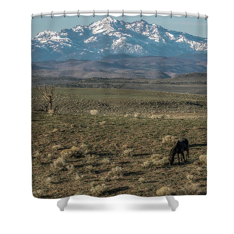 Carson Valley Blue Shower Curtain featuring the photograph Jt__3482 by John T Humphrey