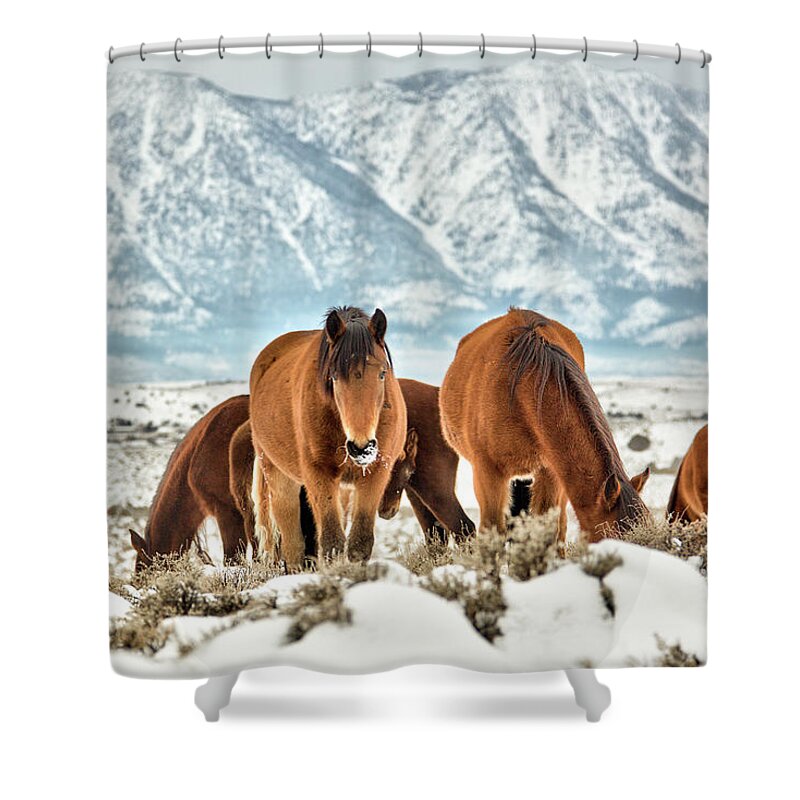  Shower Curtain featuring the photograph Jt5_0058 by John T Humphrey