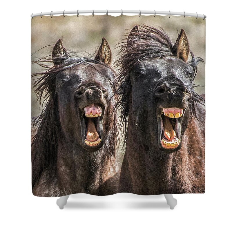 Horses Shower Curtain featuring the photograph Jt732834 by John T Humphrey