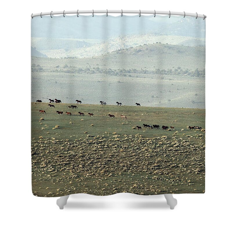  Shower Curtain featuring the photograph Jtr50316 by John T Humphrey