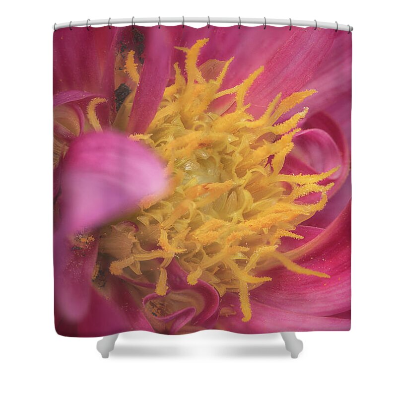 Maryland Shower Curtain featuring the photograph Juicy Pink by Robert Fawcett