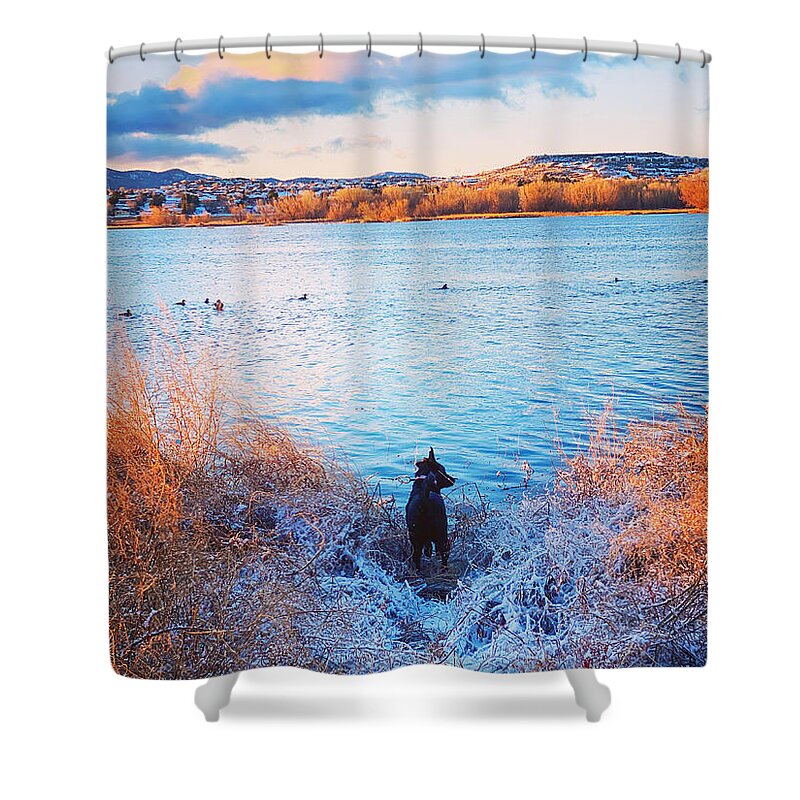  Shower Curtain featuring the photograph Just a dog at the lake by Rick Reesman