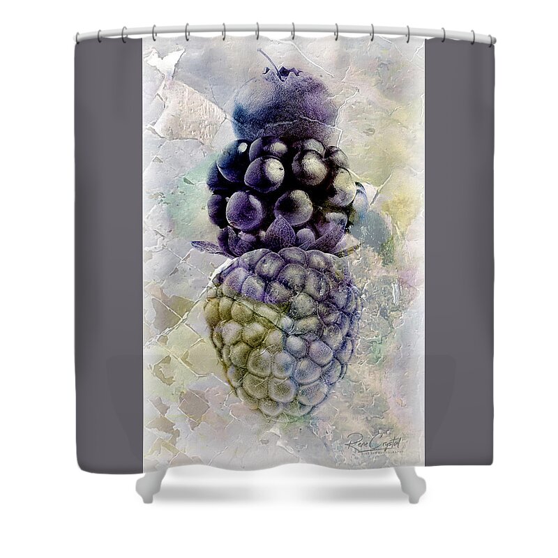 Berries Shower Curtain featuring the photograph Just A Stack Of Berries by Rene Crystal