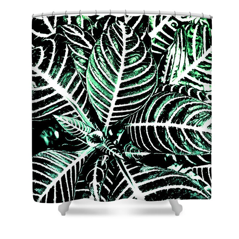 Leaves Shower Curtain featuring the photograph Just Green Leaves by Vanessa Thomas