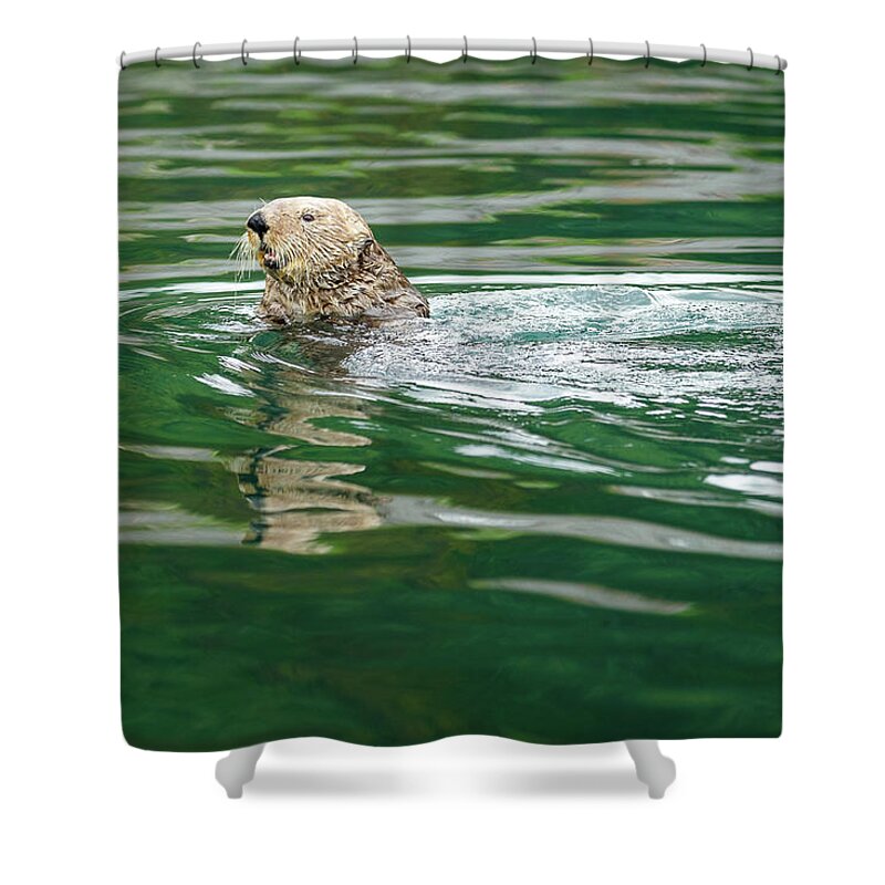 Homer Shower Curtain featuring the photograph Just Hanging Out by Ann Skelton